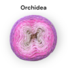 orchidea